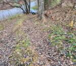 20251120_092023_3_11zon